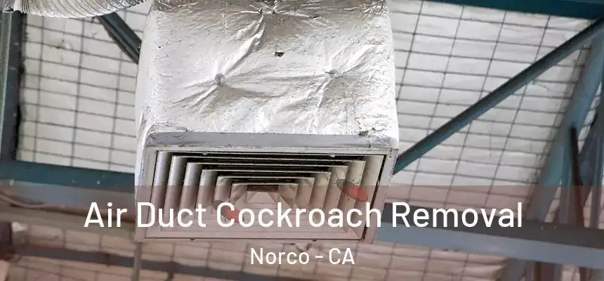 Air Duct Cockroach Removal Norco - CA