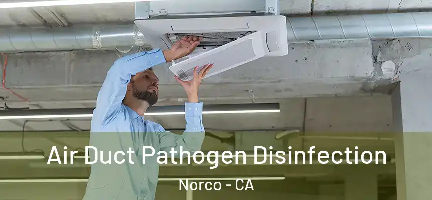  Air Duct Pathogen Disinfection Norco - CA
