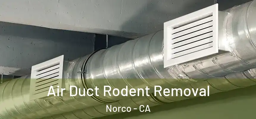  Air Duct Rodent Removal Norco - CA