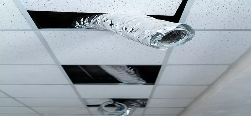 Our Air Duct Pet Hair Removal Services in Norco, CA