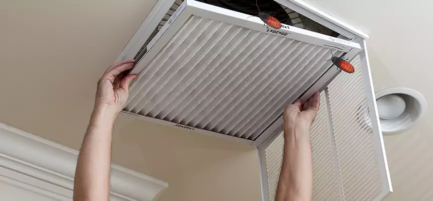 Our Insect Removal from Air Ducts Services in Norco, CA