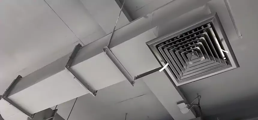 Our Pest Removal From Ducts Services in Norco, CA