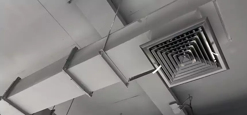 Our Rodent Droppings In Vents Services in Norco, CA