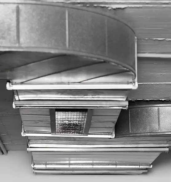 Professional Air Duct Pest Removal in Norco, CA