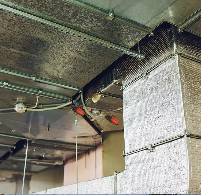 Why Homeowners & Businesses Trust Us in Norco, CA?